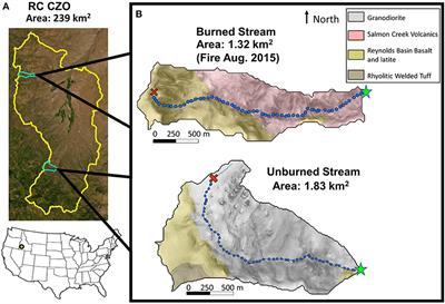 Influence of Drying and Wildfire on Longitudinal Chemistry Patterns and Processes of Intermittent Streams